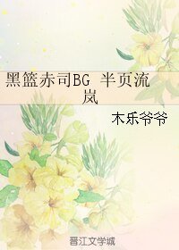 （黑籃同人）黑籃赤司BG 半頁流嵐