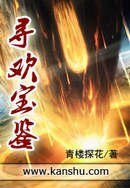 寻欢保鉴