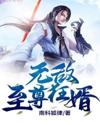 無敵至尊狂婿