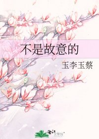 不是故意的