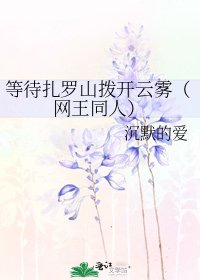 等待扎羅山撥開雲霧(網王同人)