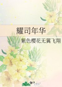 耀司年華