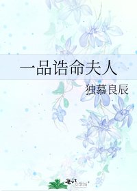 一品诰命夫人