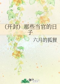 (开封)那些当官的日子