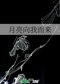 月亮向我而來