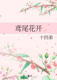鸢尾花开