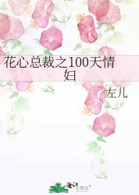花心總裁之100天情婦