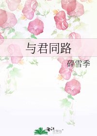 与君同路