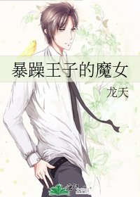 暴躁王子的魔女