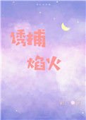 誘捕焰火[娛樂圈]
