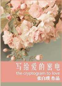 寫給愛的密電(軍旅)